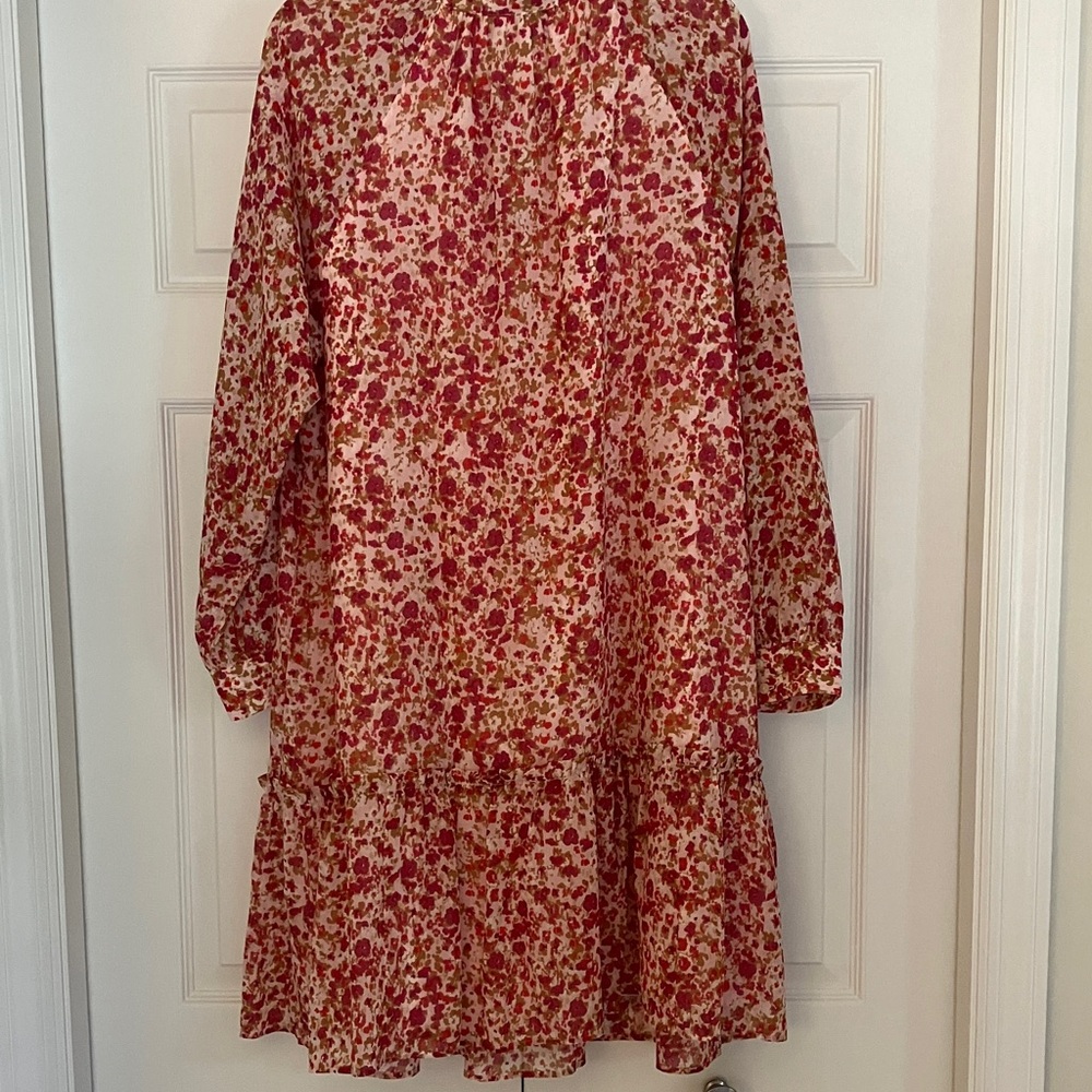 J. Crew Pink and Red Floral Chiffon Dress - Picture 3 of 11